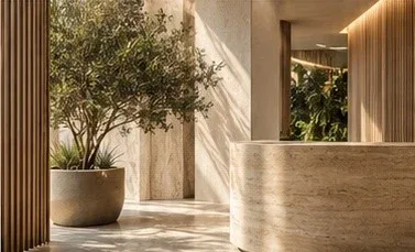 Recepção com oliveira em vaso e balcão em travertino iluminado pelo sol